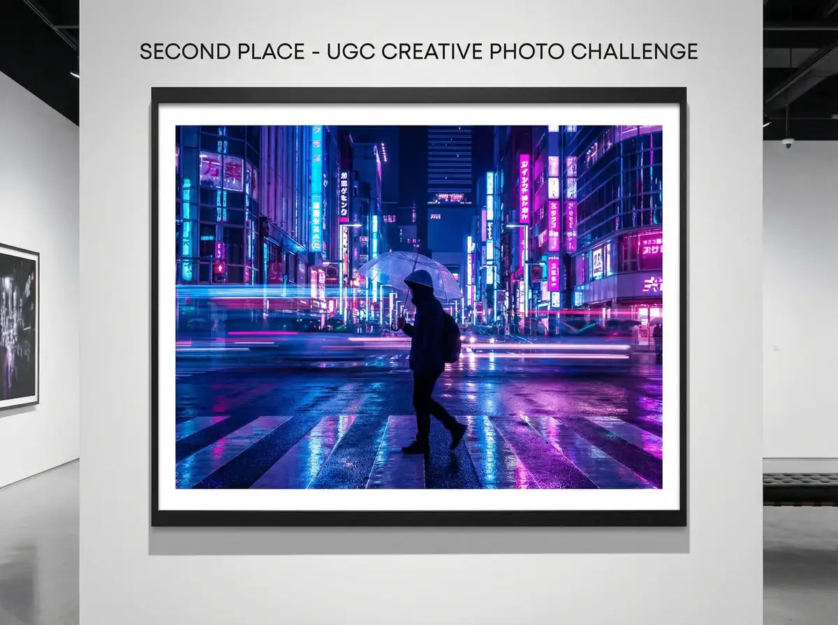 每日大赛mrds 亚军作品 - 霓虹都市夜景摄影